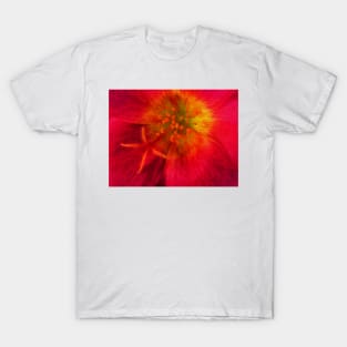 closeup of single floral fantasy with delicate stamens T-Shirt